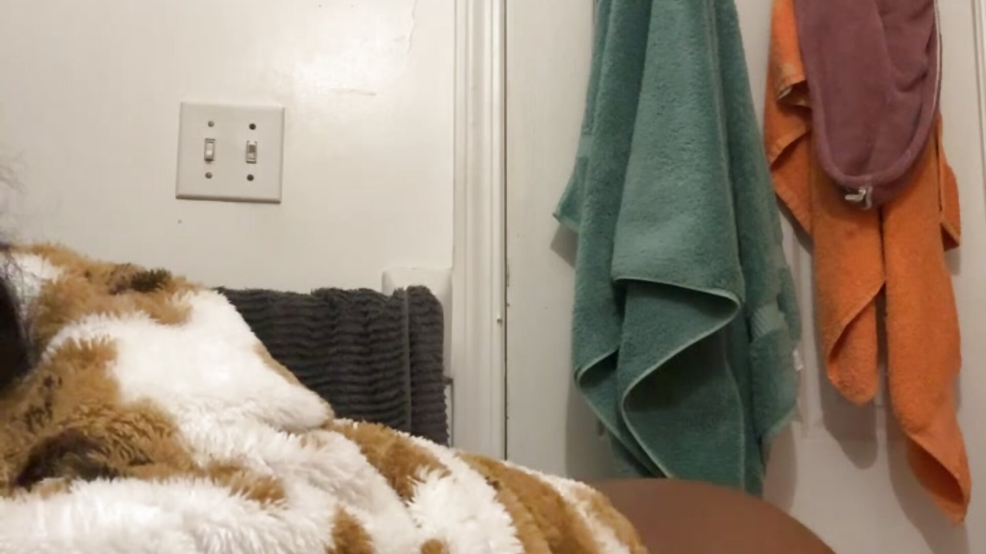 Shaking ass 🤭🍑 - ক্যাম মডেল BigTipsBigTitsBigDick-এর ভিডিও