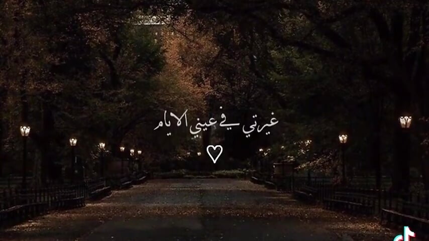 v14044g50000d03to6fog65p83rv3p90 - فيديو من 258aboody موديل الكام