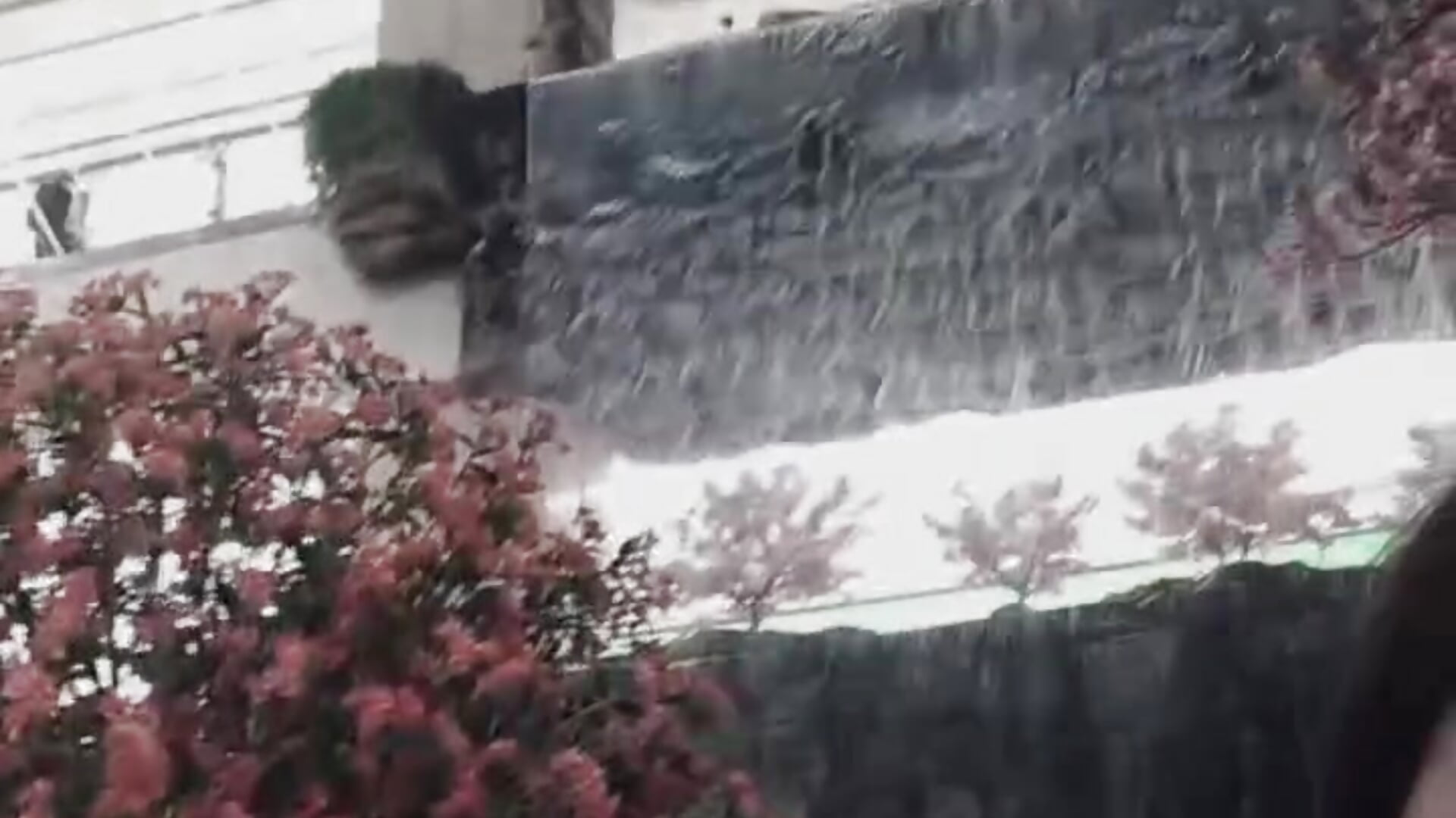 VID_20260626_155618_170 - video của người mẫu cam yueyuesse