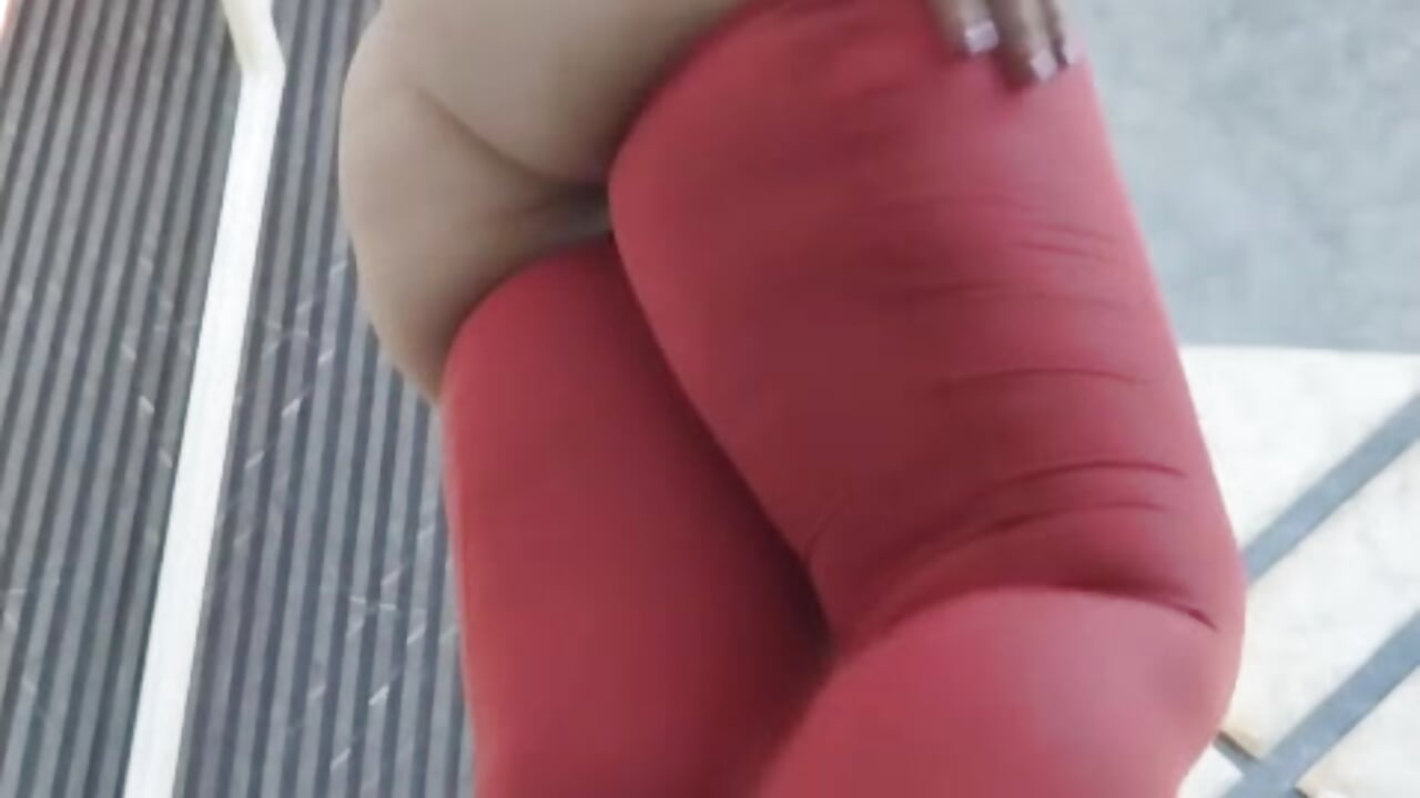 Your favorite distraction. 😉 - video KasiaHall kameramallilta