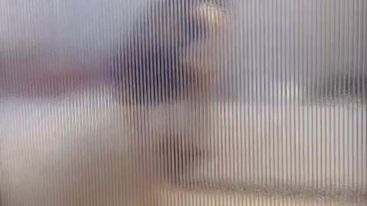 20260813152909 - video by TOWA3512 cam model