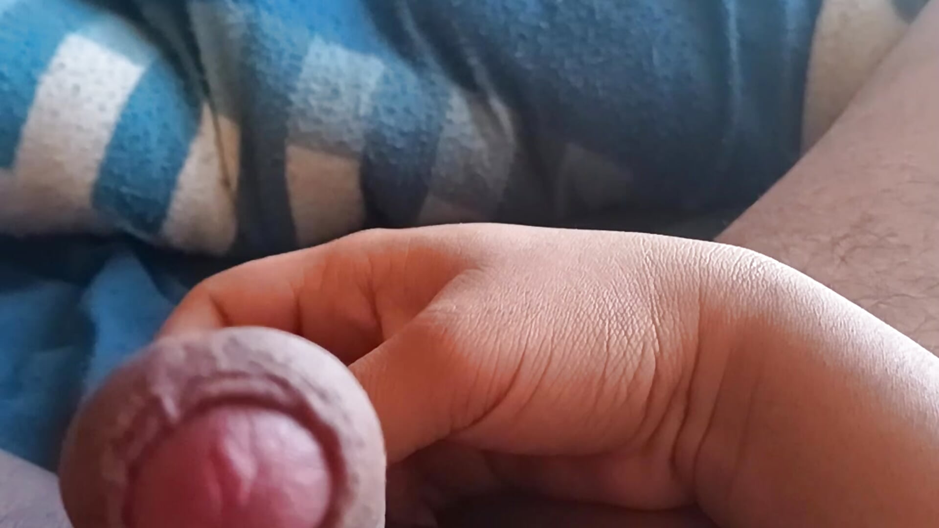 Pichula_rica
