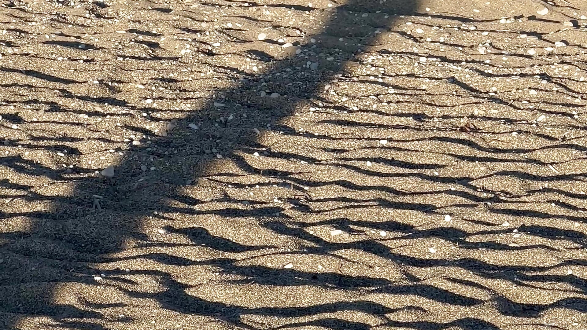 On the beach - video od modelky/modela Liama_mi