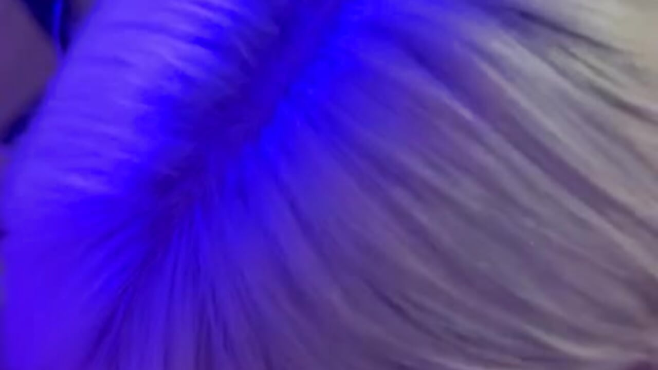 Sexy blowjob