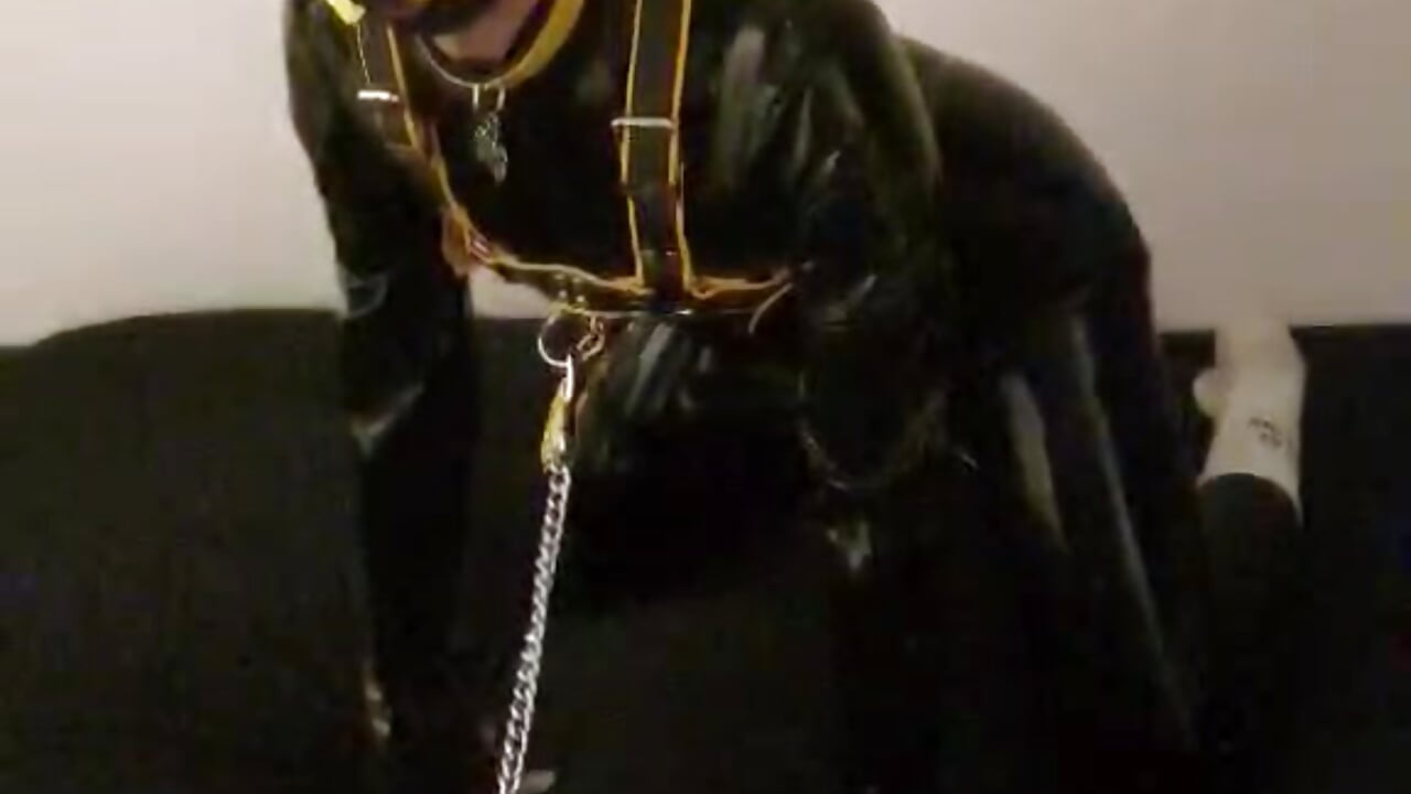 Wags - Latex – video od webkamerové modelky Pup_Noir