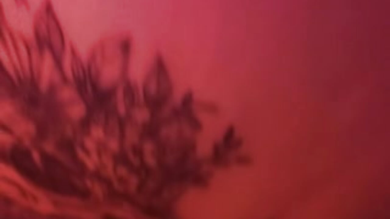 Massage oil - βίντεο μοντέλου Gabriella-Millan