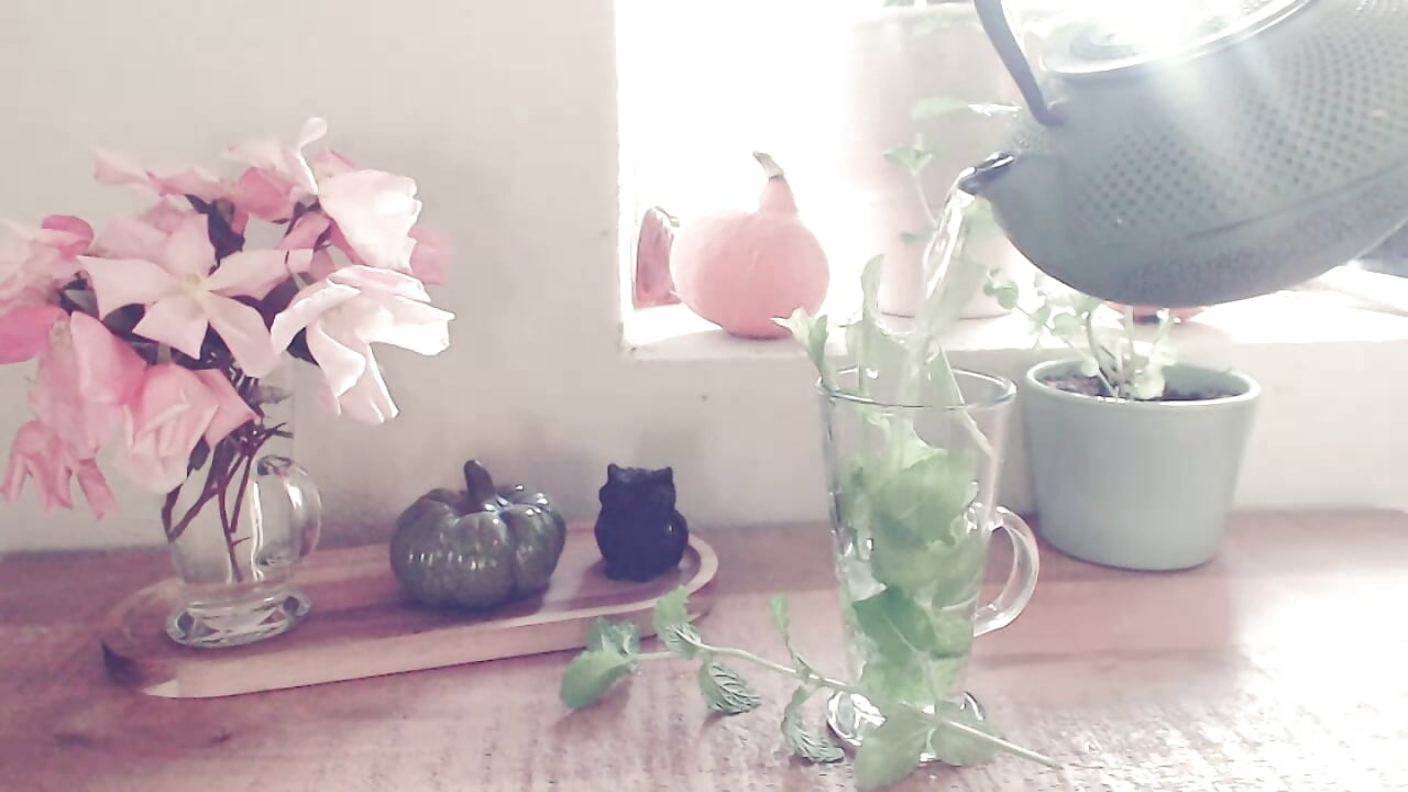 How to make fresh mint tea