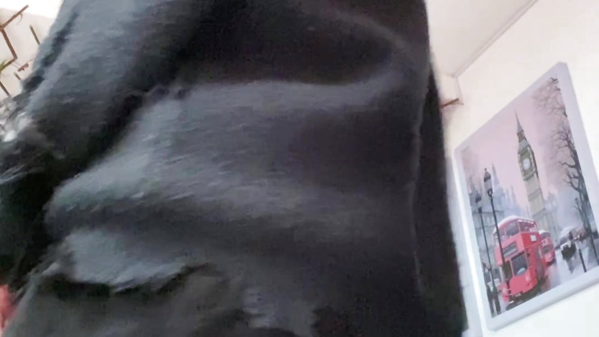 Me veo bonita?😘🌸 - Vídeo de purplebunny_69, modelo de vídeos