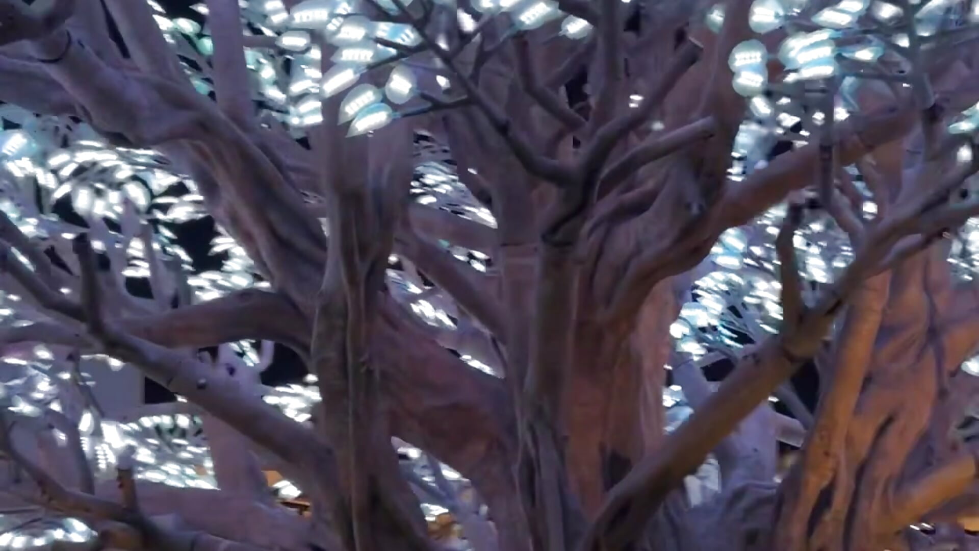 Light Tree - video by adrigtxd2