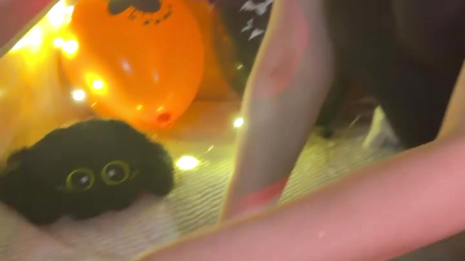 Halloween😈 - video oleh sakura_sakiyo kamera model