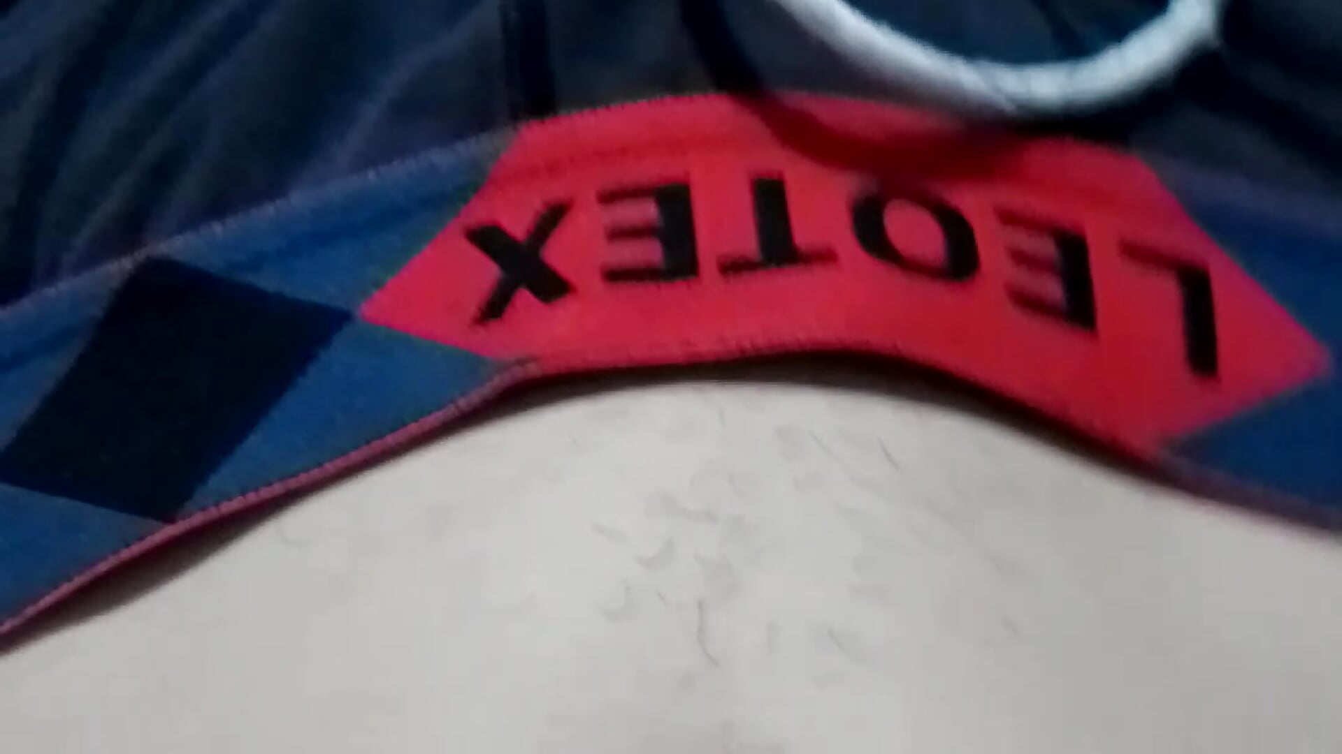 Coqueto