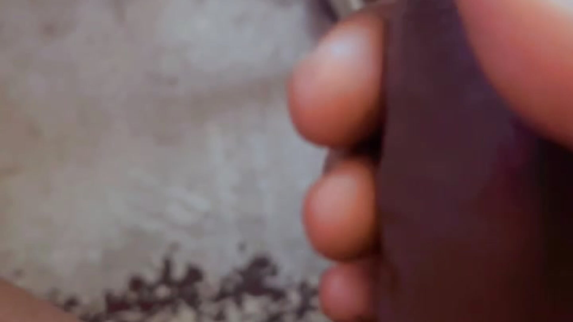 Professor_drip Video Thịnh Hành của Người Mẫu trên Cam 2858