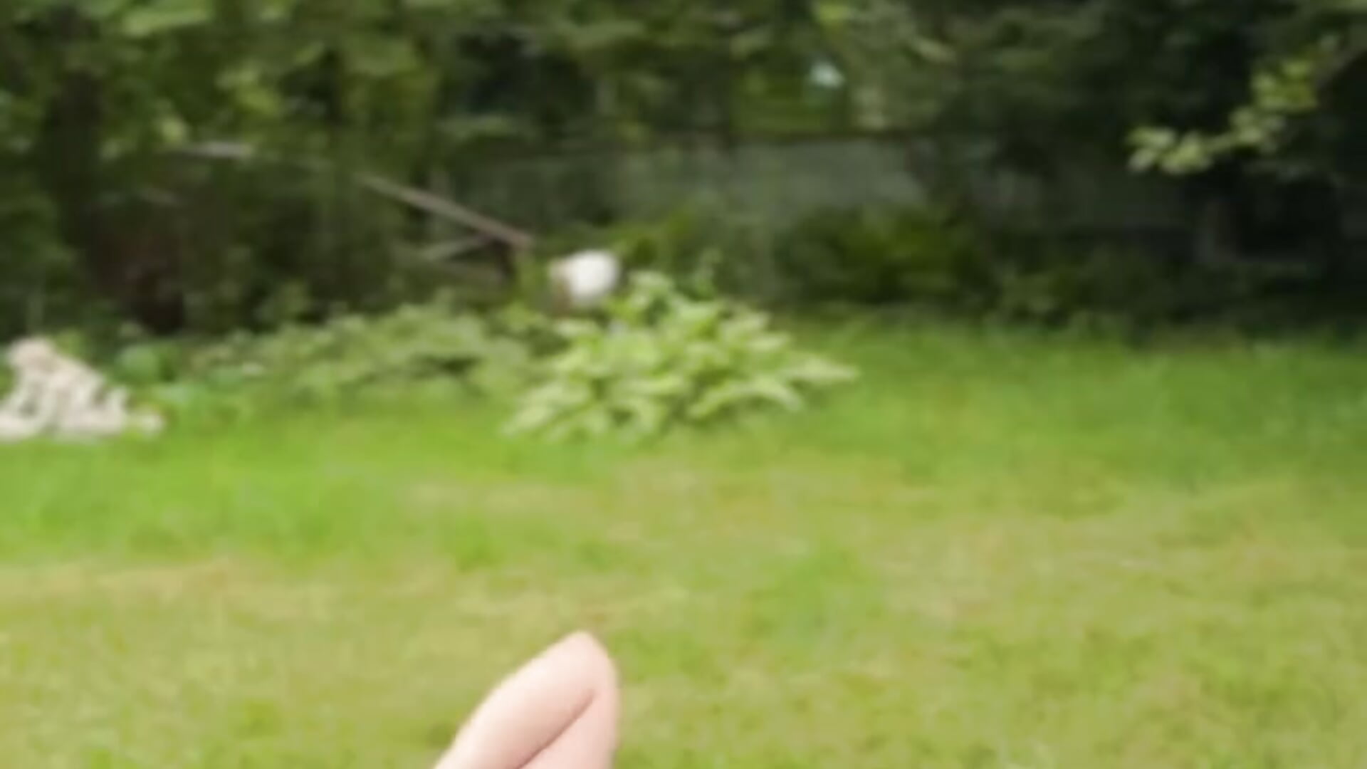 piece of summer - AnneAvelin 캠 모델의 동영상