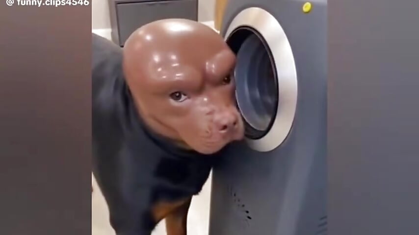 Sexboi254