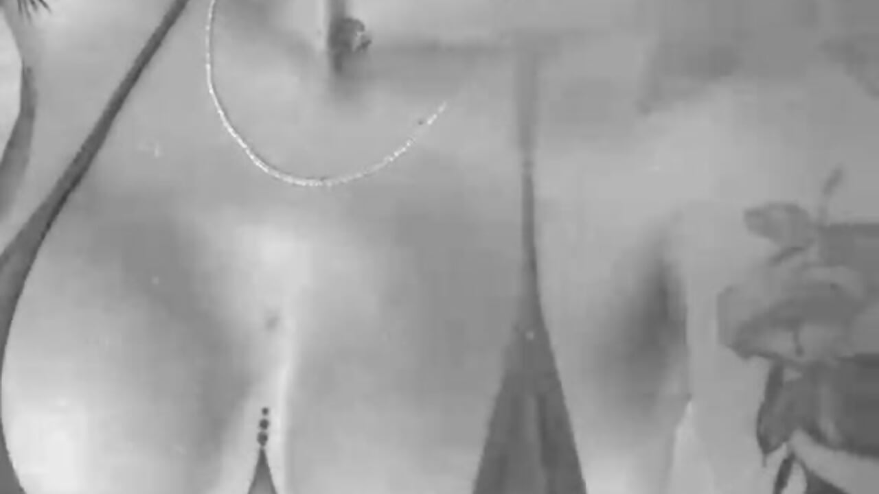 💥 - video oleh Francesca_Skuirt kamera model