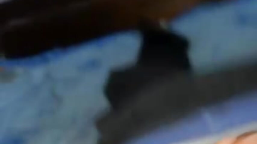 80508459146__E1888856-E40A-4E69-8924-14CFCA791F4F - video by lemecbien1 cam model