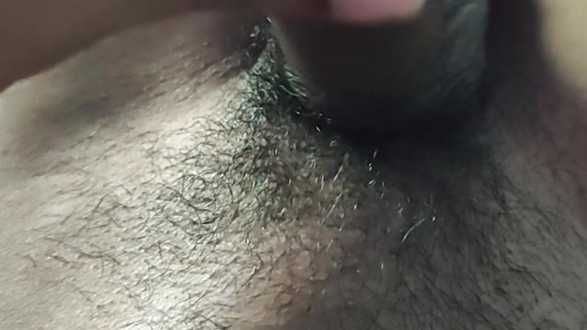 Vídeo em tendência de modelo na câmara notypusa123 9846