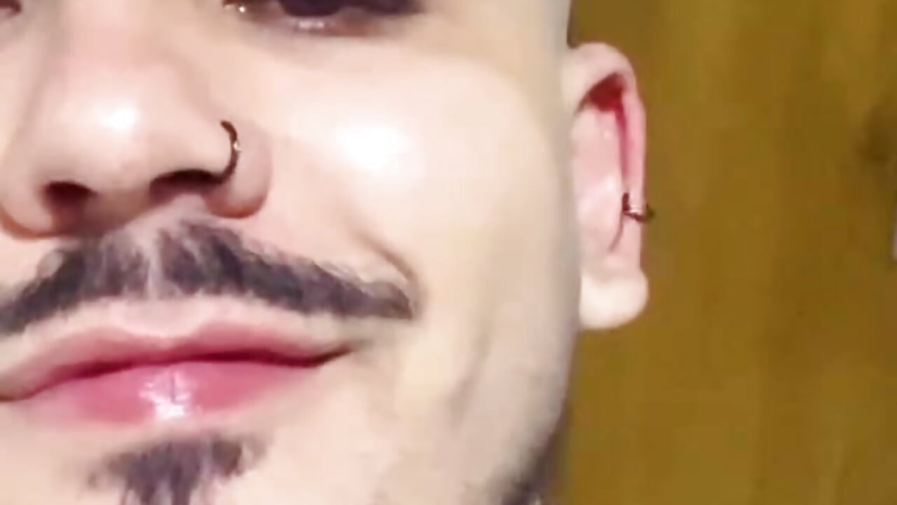 LatinBearX
