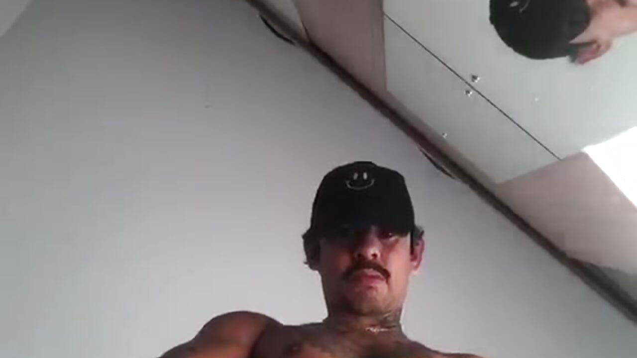 hello there! - video by jojolechee