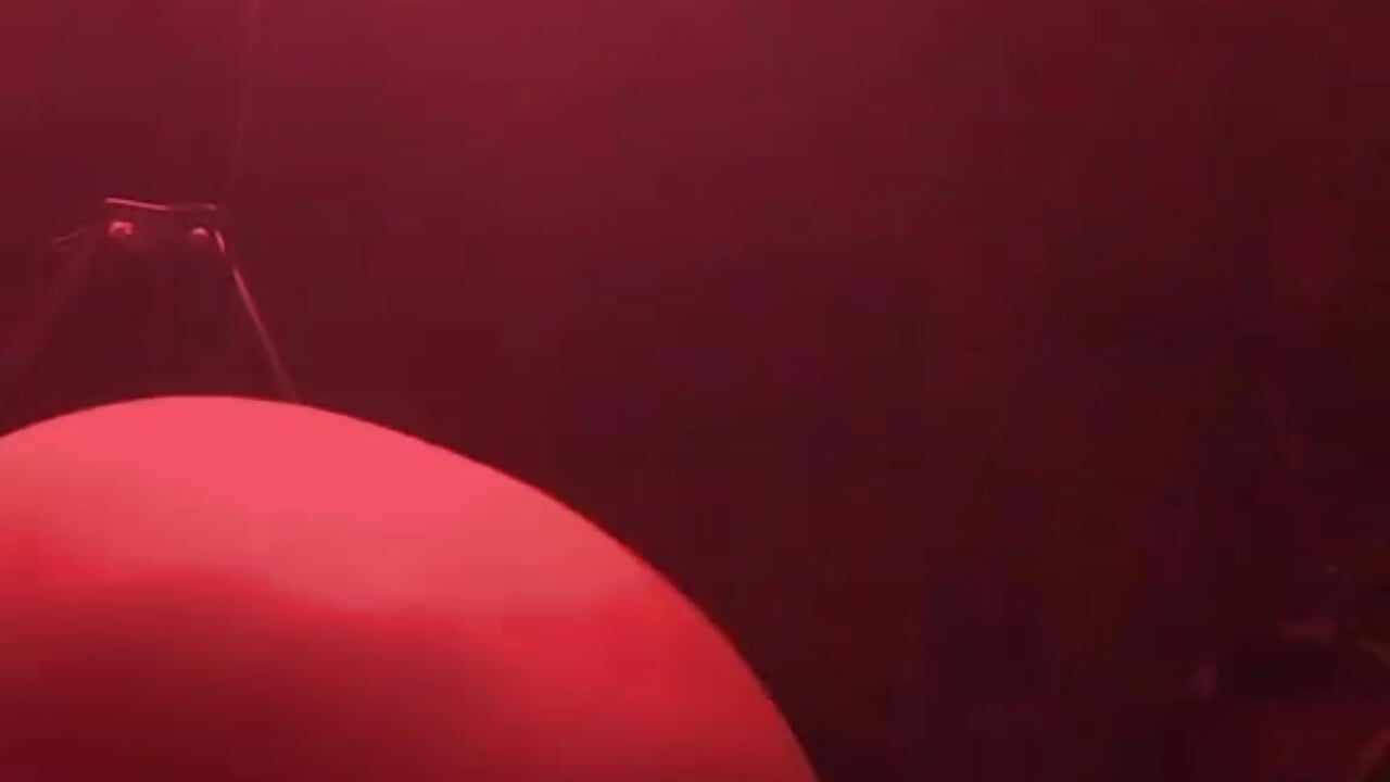My Fat booty twerk