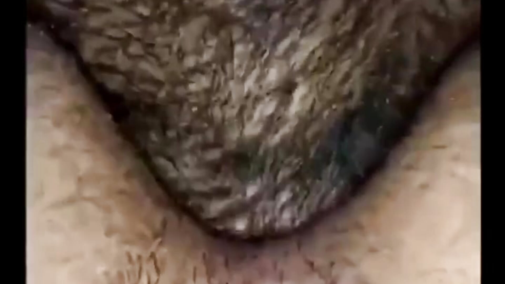 I'M IN HEAVEN WITH THAT ASS - video by big__bearrr cam model