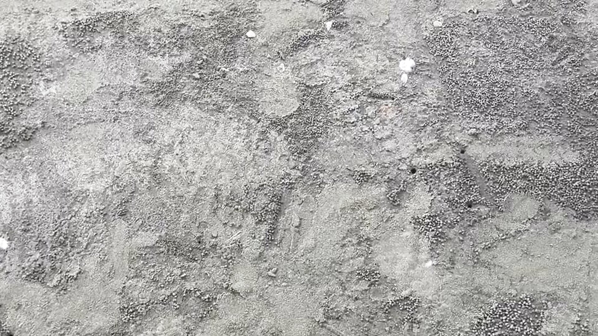 Sandy. - ক্যাম মডেল RubyInk--এর ভিডিও