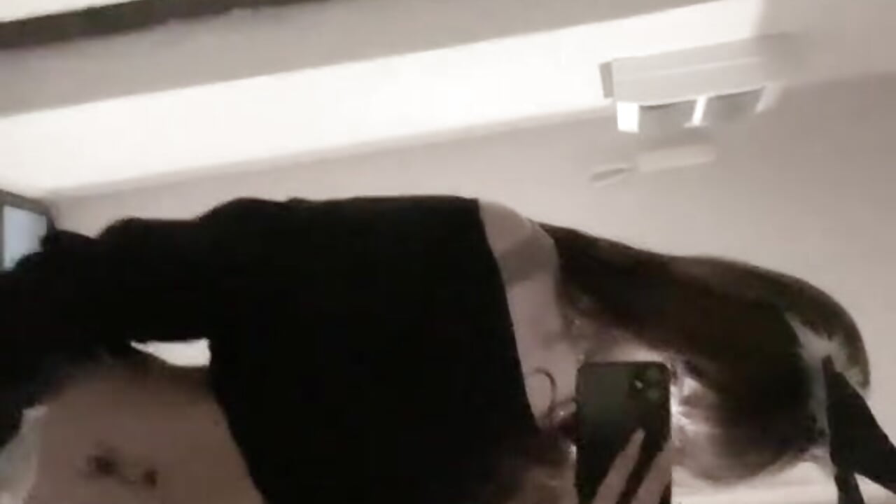 Naughty rabbit