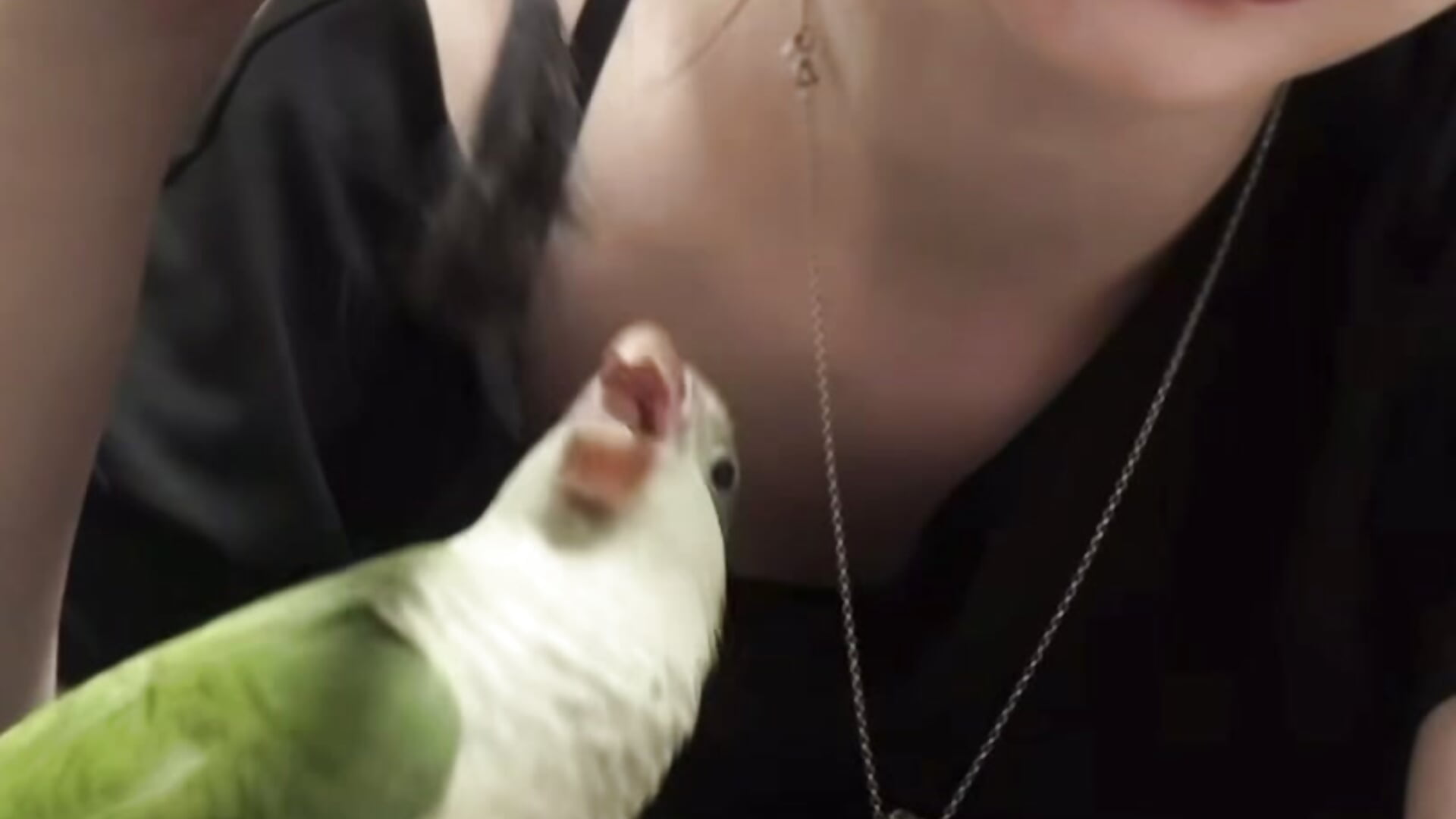 Me and my pet - video by moonraven_86 cam model