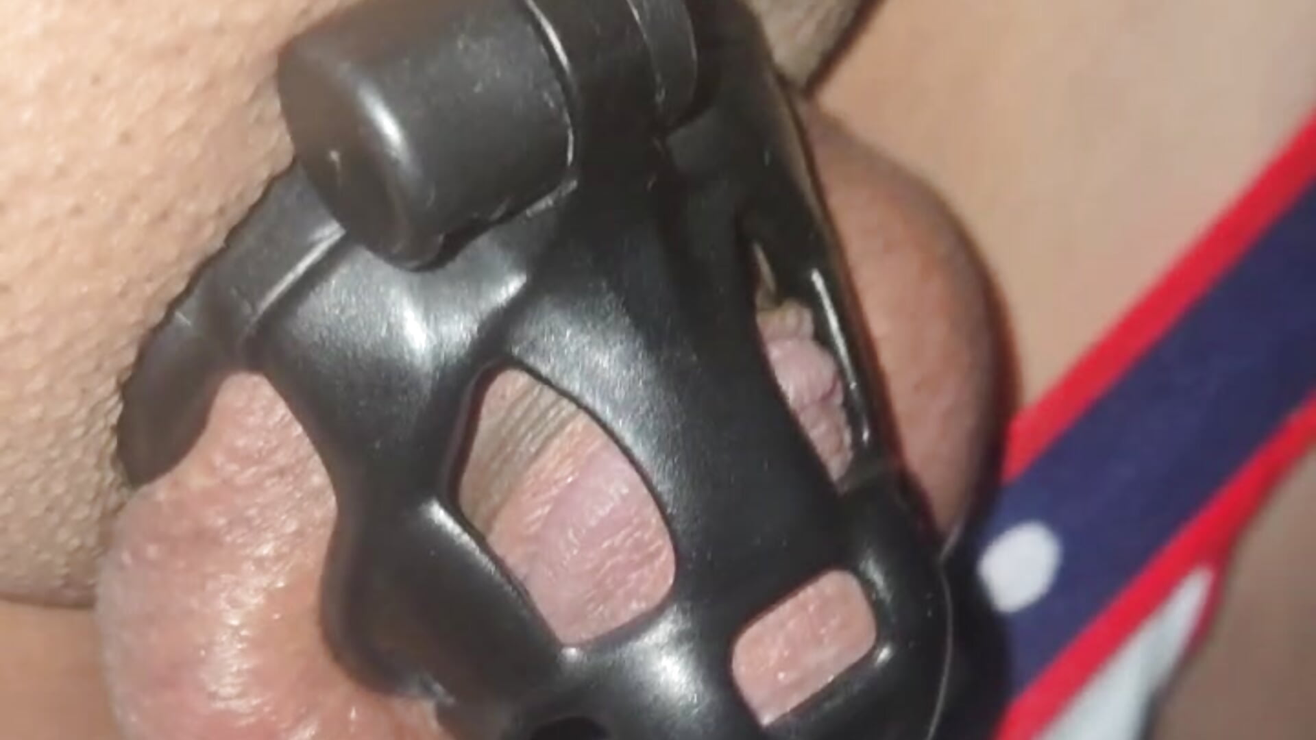 1000035258 - vídeo de dogmimigg modelo de câmara
