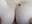BIG TITS - video oleh lucy007_