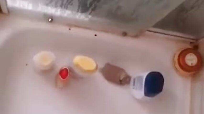 1000034143 – video od webkamerové modelky Philipcr32