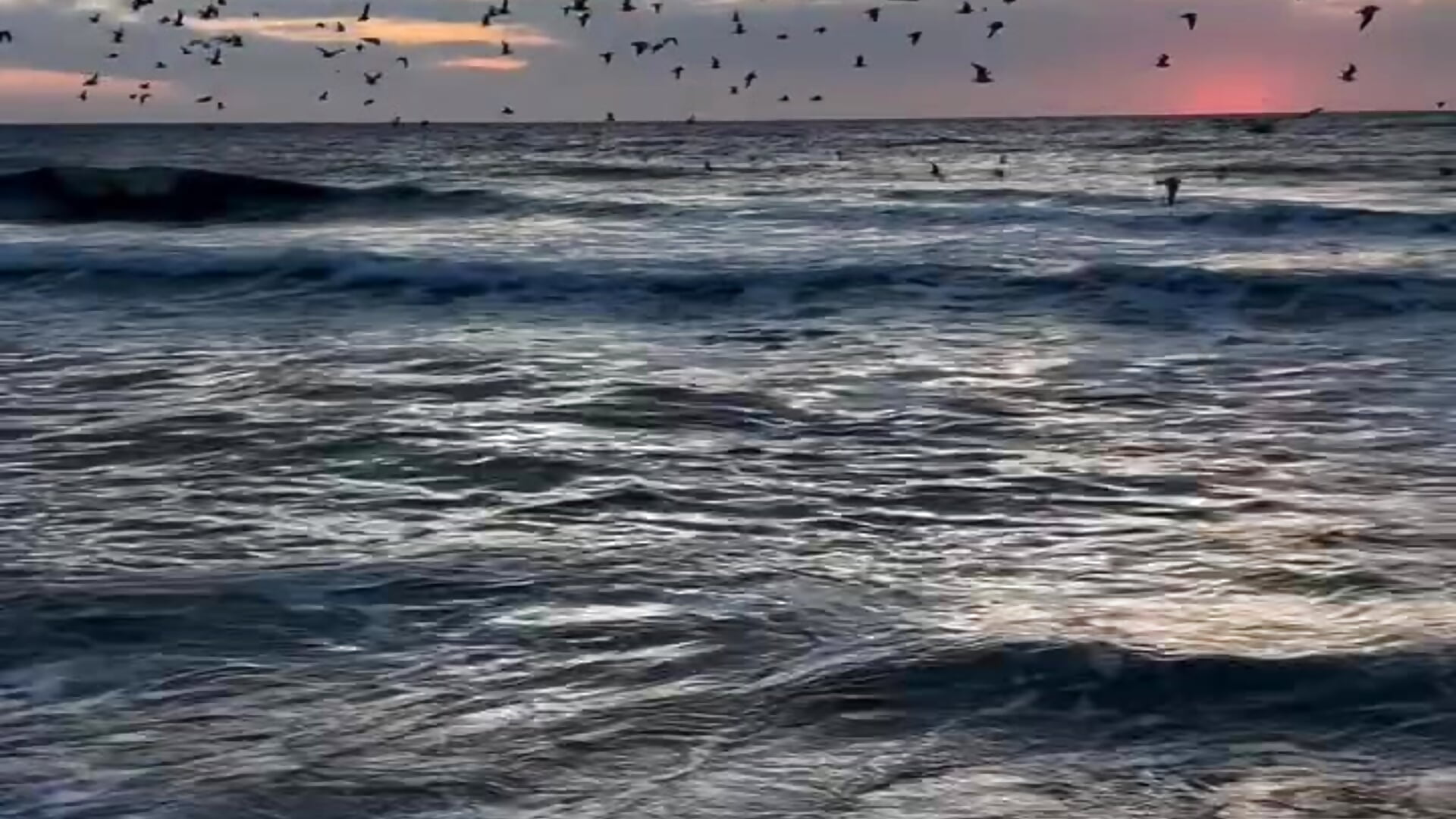 Ocean vibes - video của người mẫu cam ShyAngel1