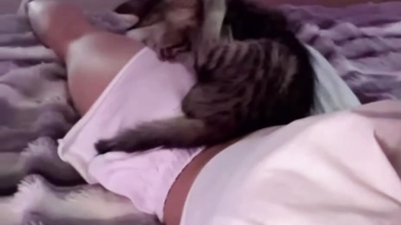 kittens 🐱 🐾 - video by Candyy_rasss cam model