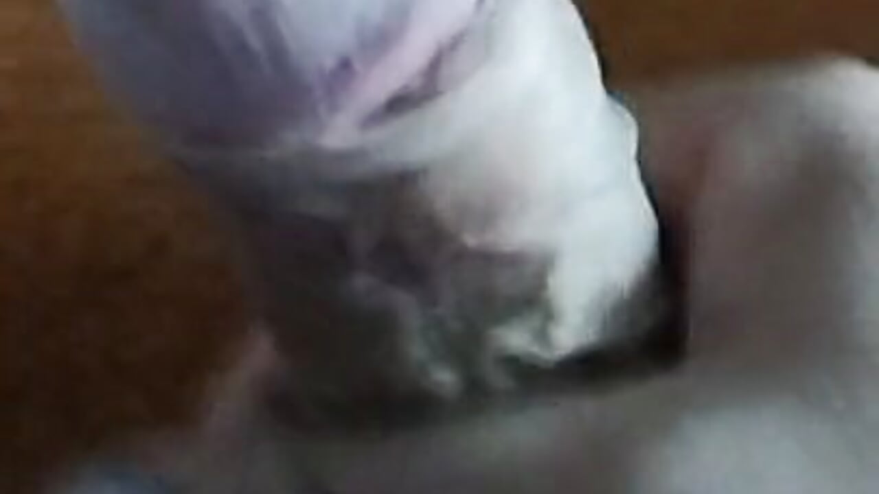 Games with my cock – video od webkamerové modelky samouel
