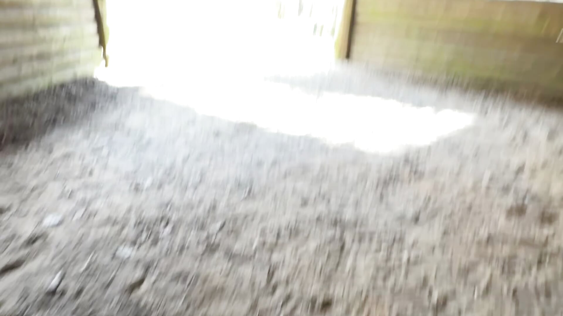 Exhib dans la forêt avec madame - video di jaysluve modella di cam