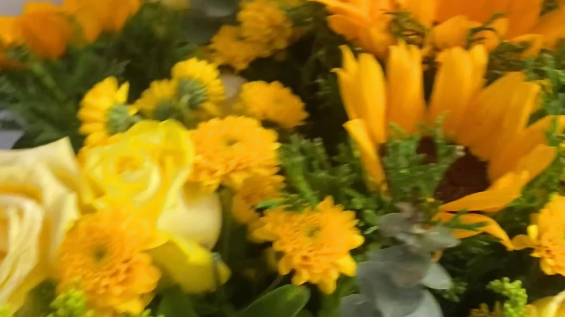 Yellow flowers - video av Mey_Xiuying cam model