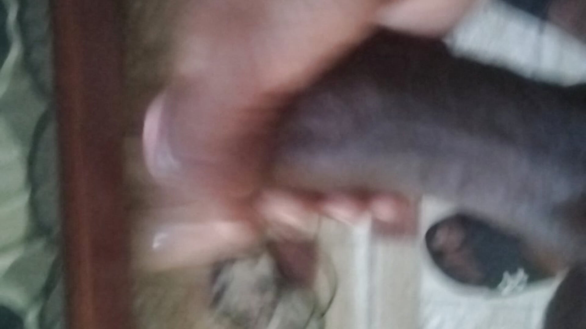 Negruito