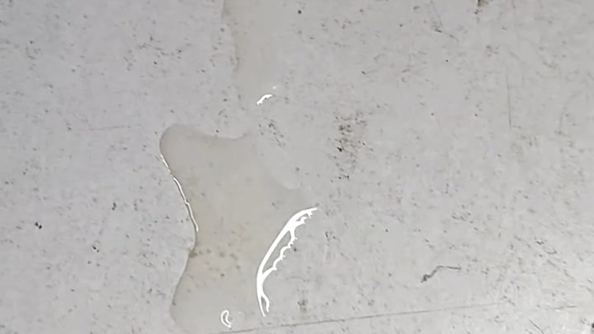 i need somone to clean the mess, i m done! 🥵🥵🍆 - roxiii_ 캠 모델의 동영상