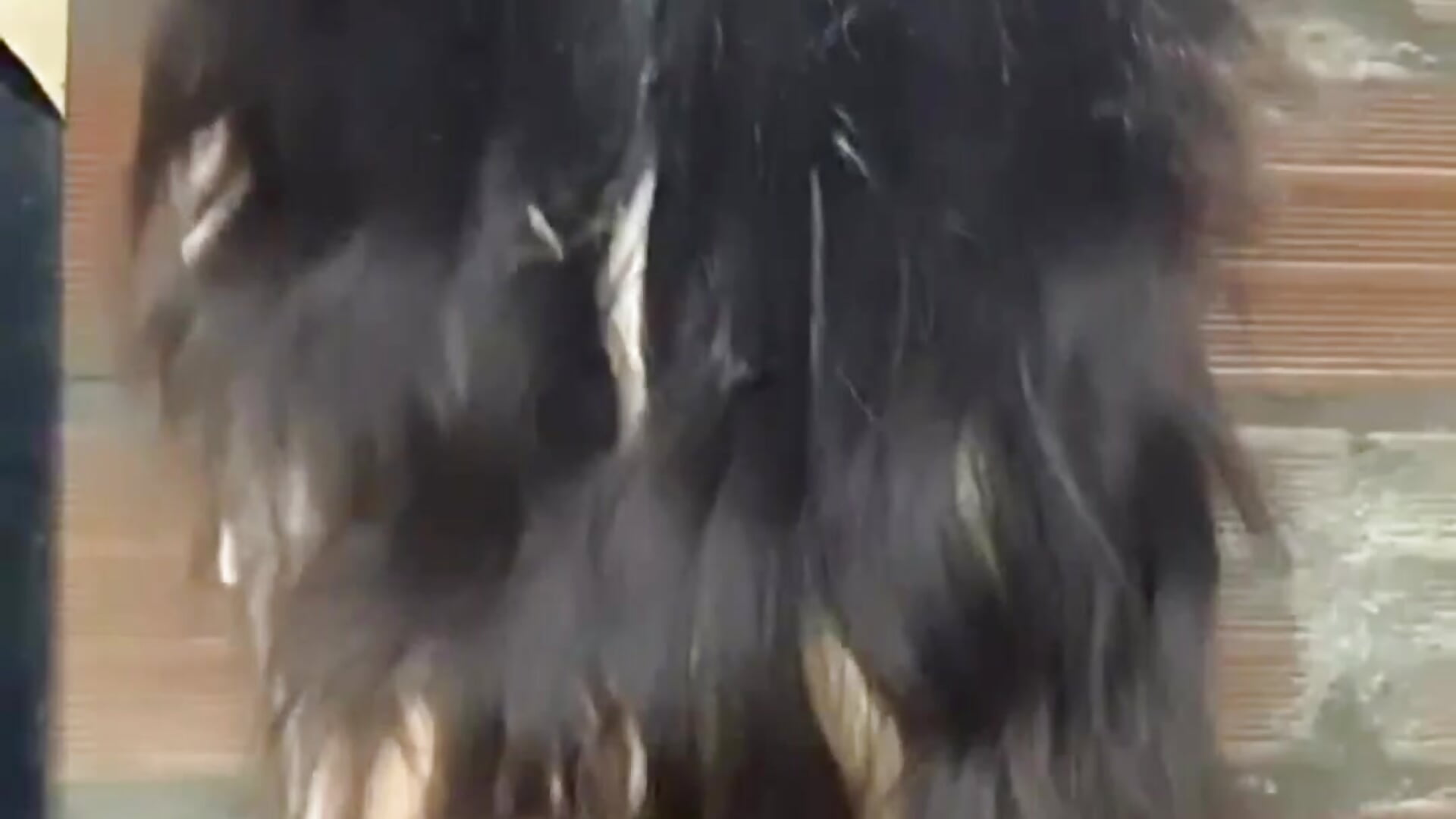 Wiggling my big butt - video by H0ttieGirl cam model