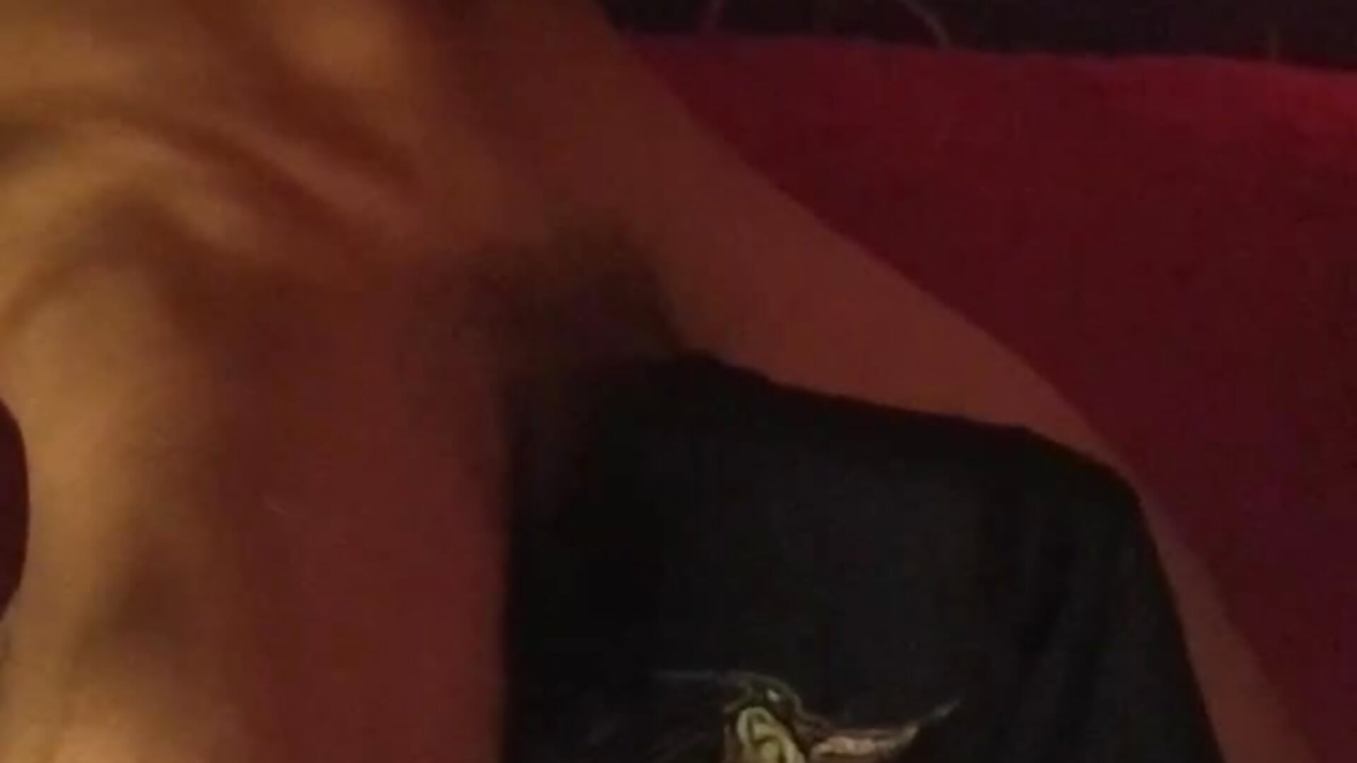 😈 - video by belmont_juan1 cam model