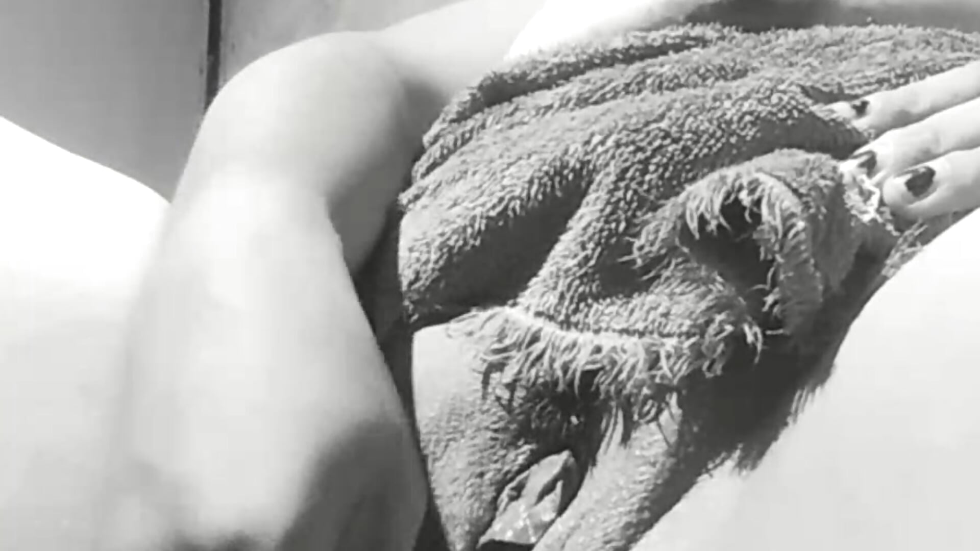 Anal