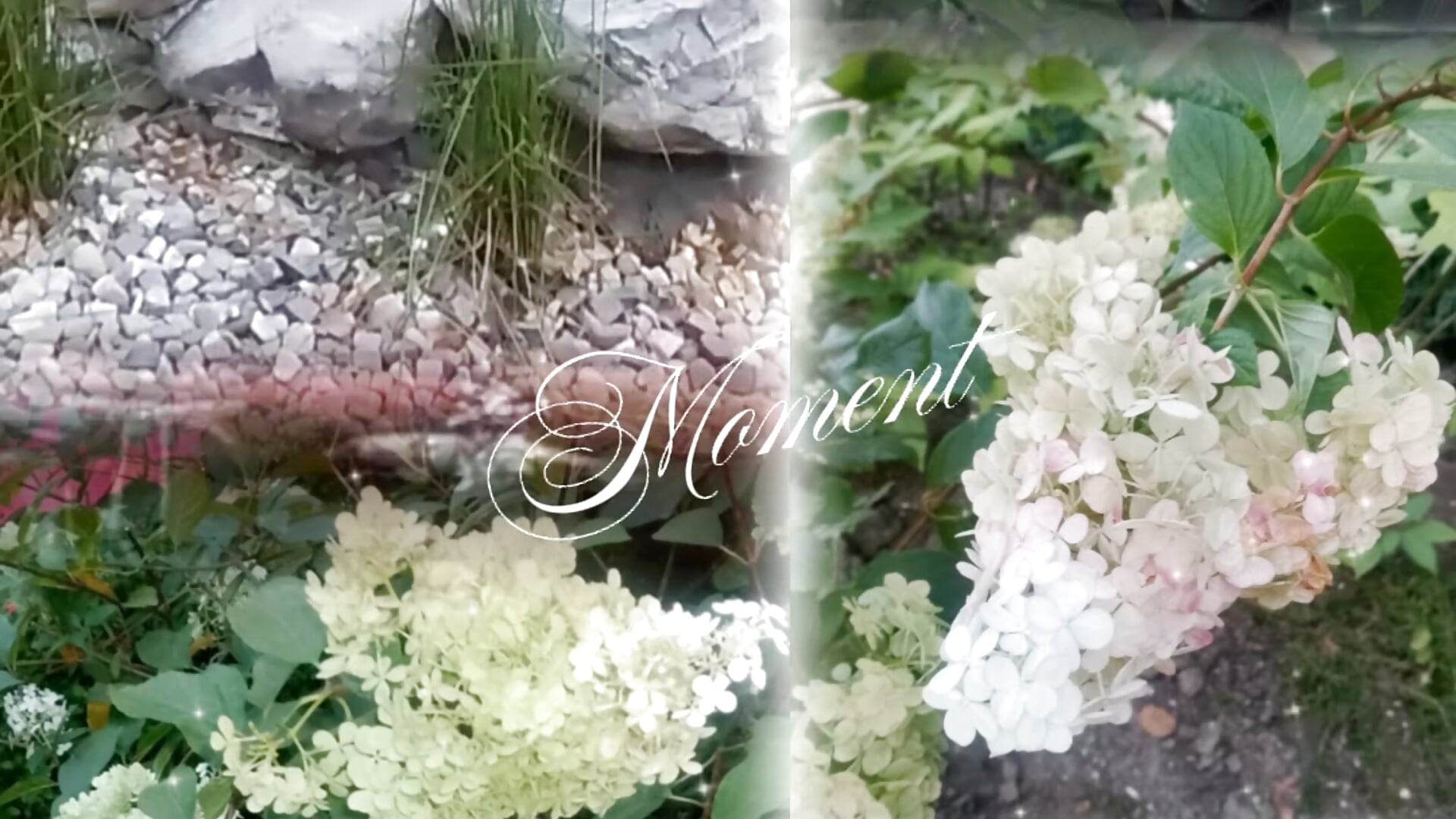 Відпочинок - video của người mẫu cam LittleFlower777