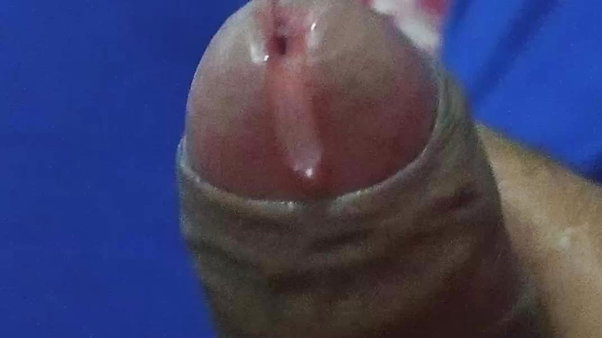 1000000384 - video di apenasprzer modella di cam