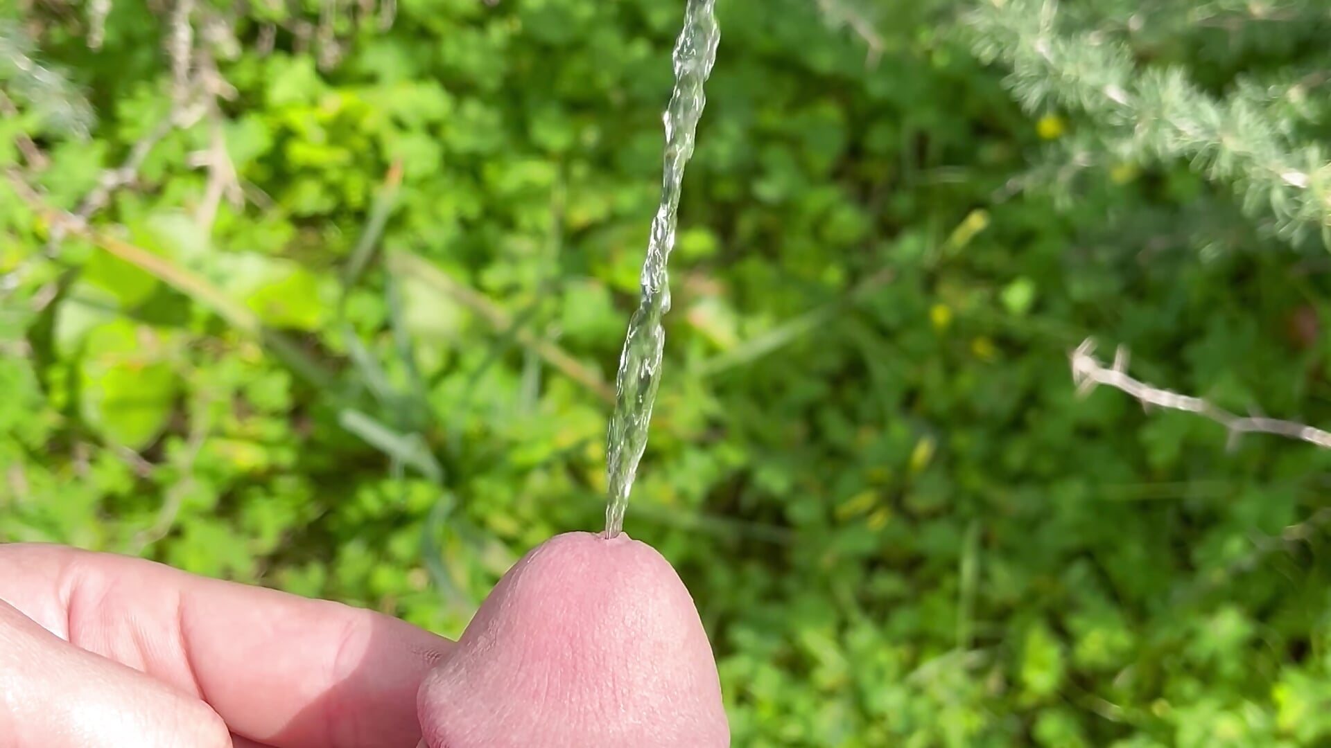 Dans la nature 💦 - video của người mẫu cam ArsTar16_16
