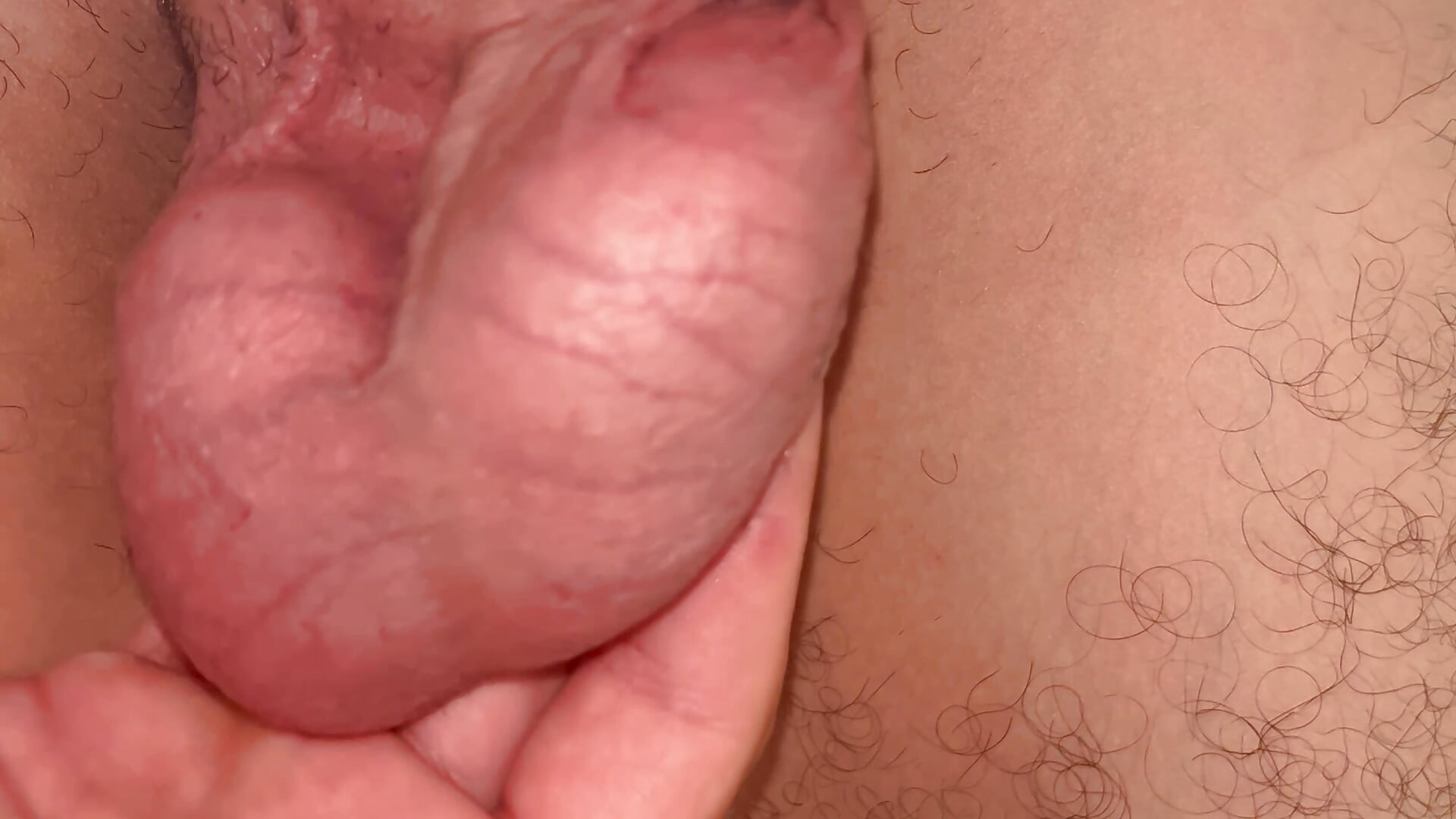 A flaccid penis 😴and hanging testicles🥚🥚 - video by ArsTar16_16 cam model