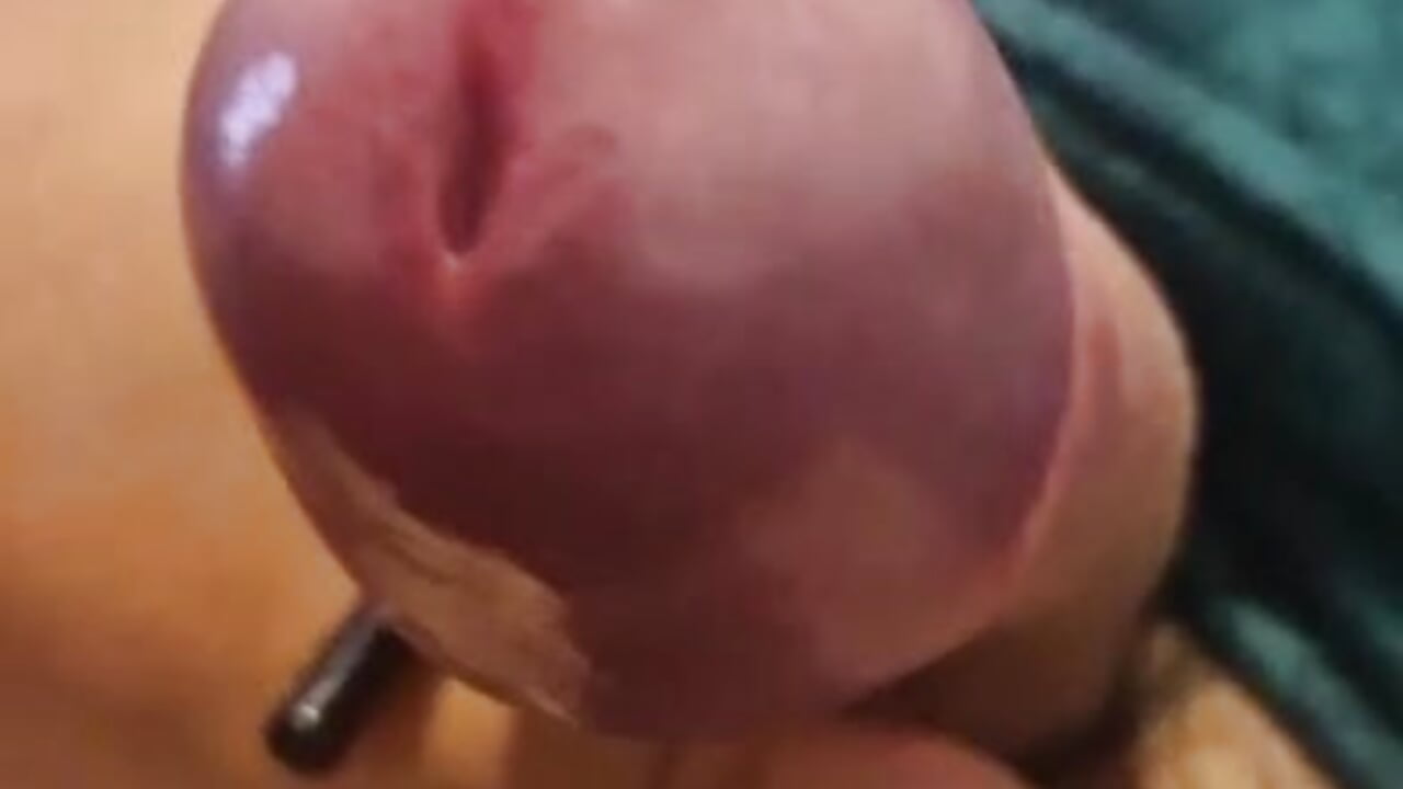 Mr_Daddy_Bear
