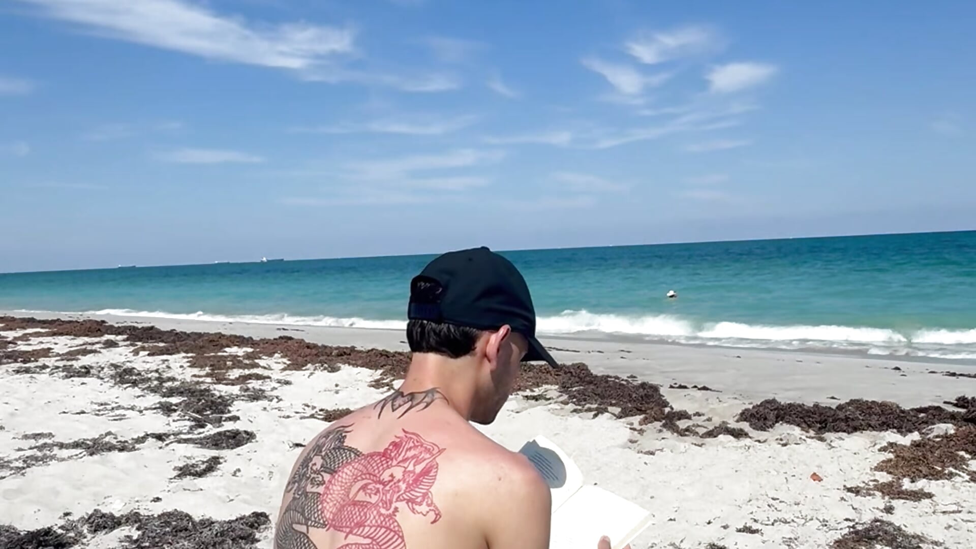 IMG_7297 - video by Alextwink01