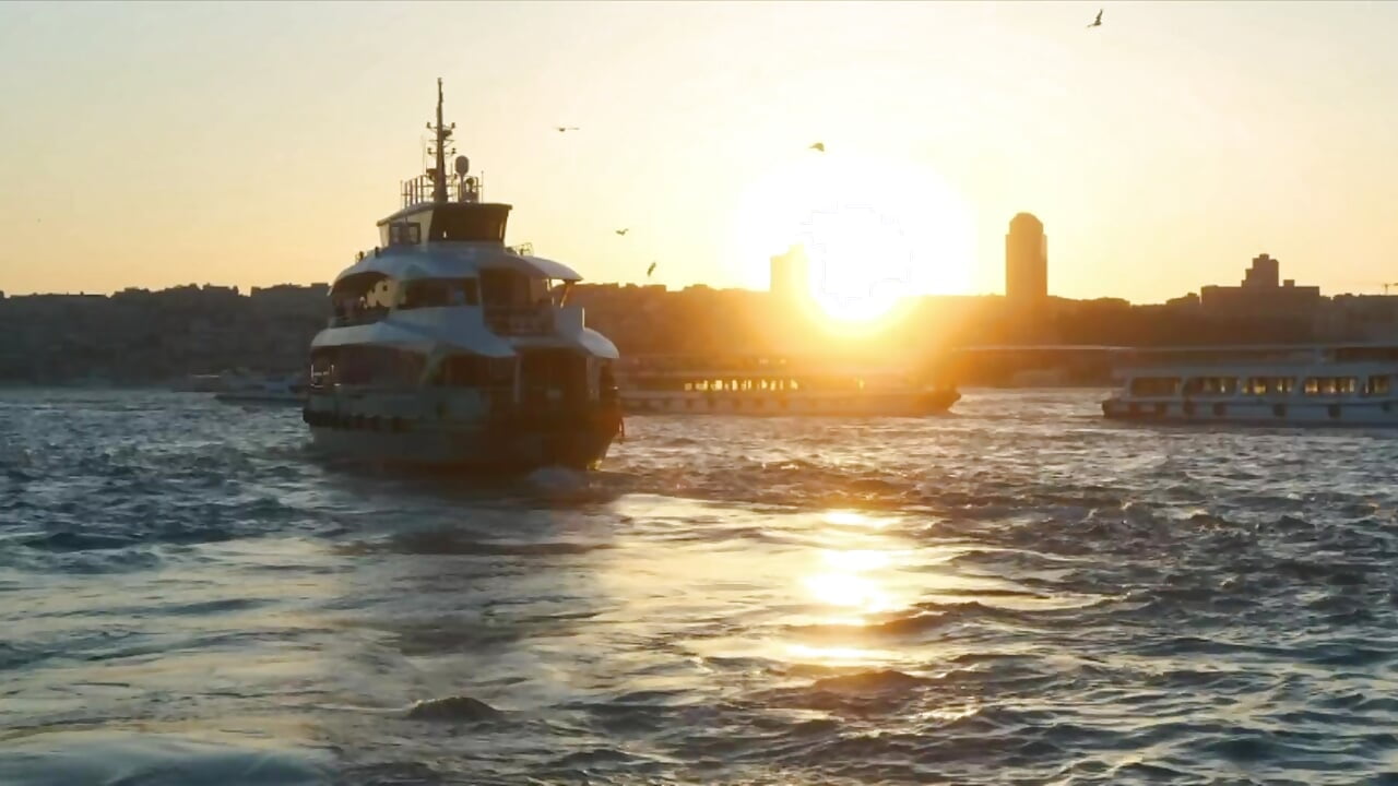 IMG_3347 - video by Richard_Hill