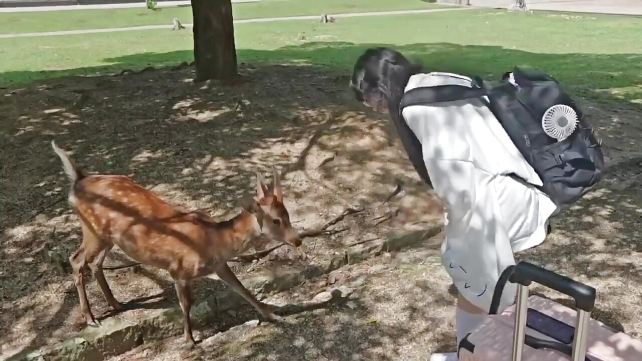 two fawns in Nara