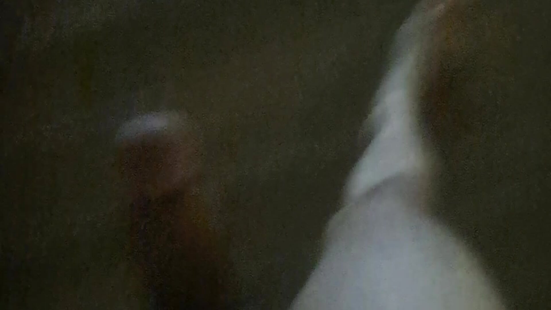 1000001210.mp4 - kirou2k7主播的视频